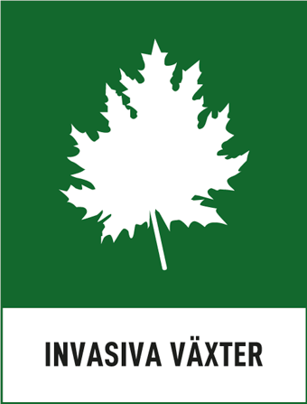 Symbol för Invasiva växter