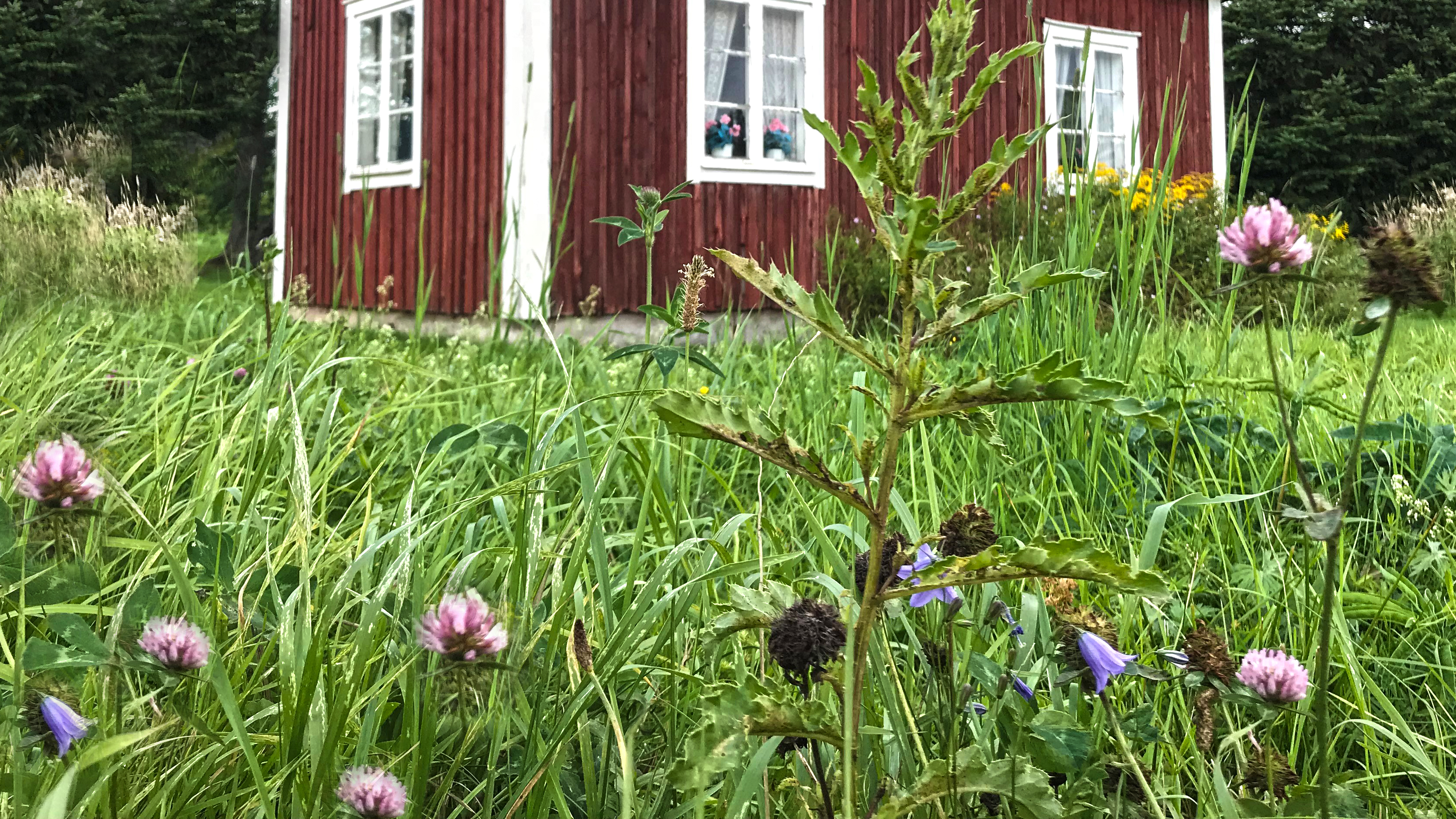 En sommarstuga.