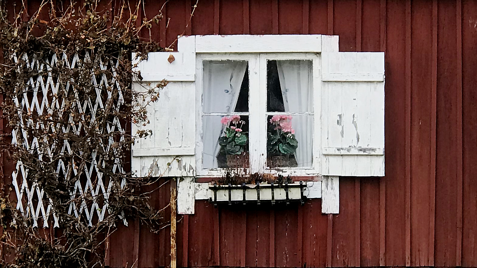 Fönster till sommarstuga.